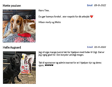 Tina hjælper kæledyr i - men nu hun selv med nødråb | Østjylland