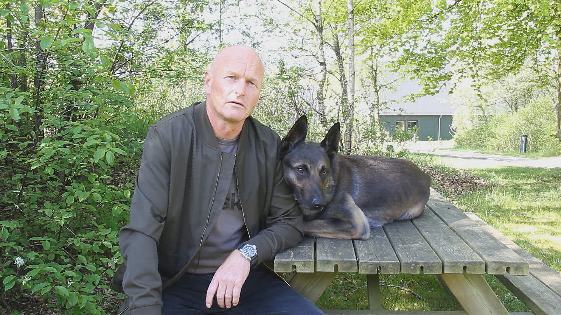 frivillig Frigøre bølge Narkohunden Pablo blev stjålet to gange: Er nu i Afghanistan | TV2  Østjylland