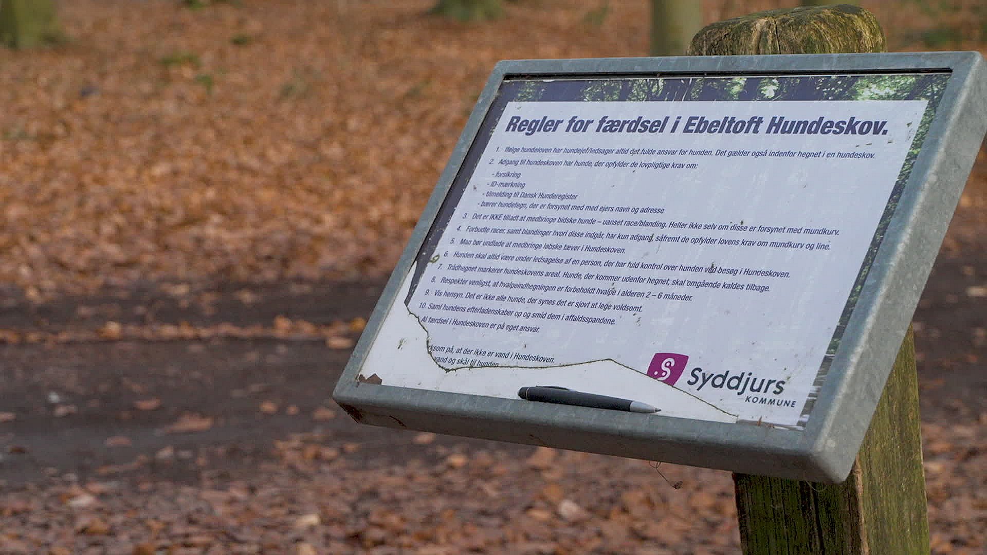 Vanærende midler tjener Hvad må man egentlig? Nu raser debat om reglerne i hundeskove | TV2  Østjylland