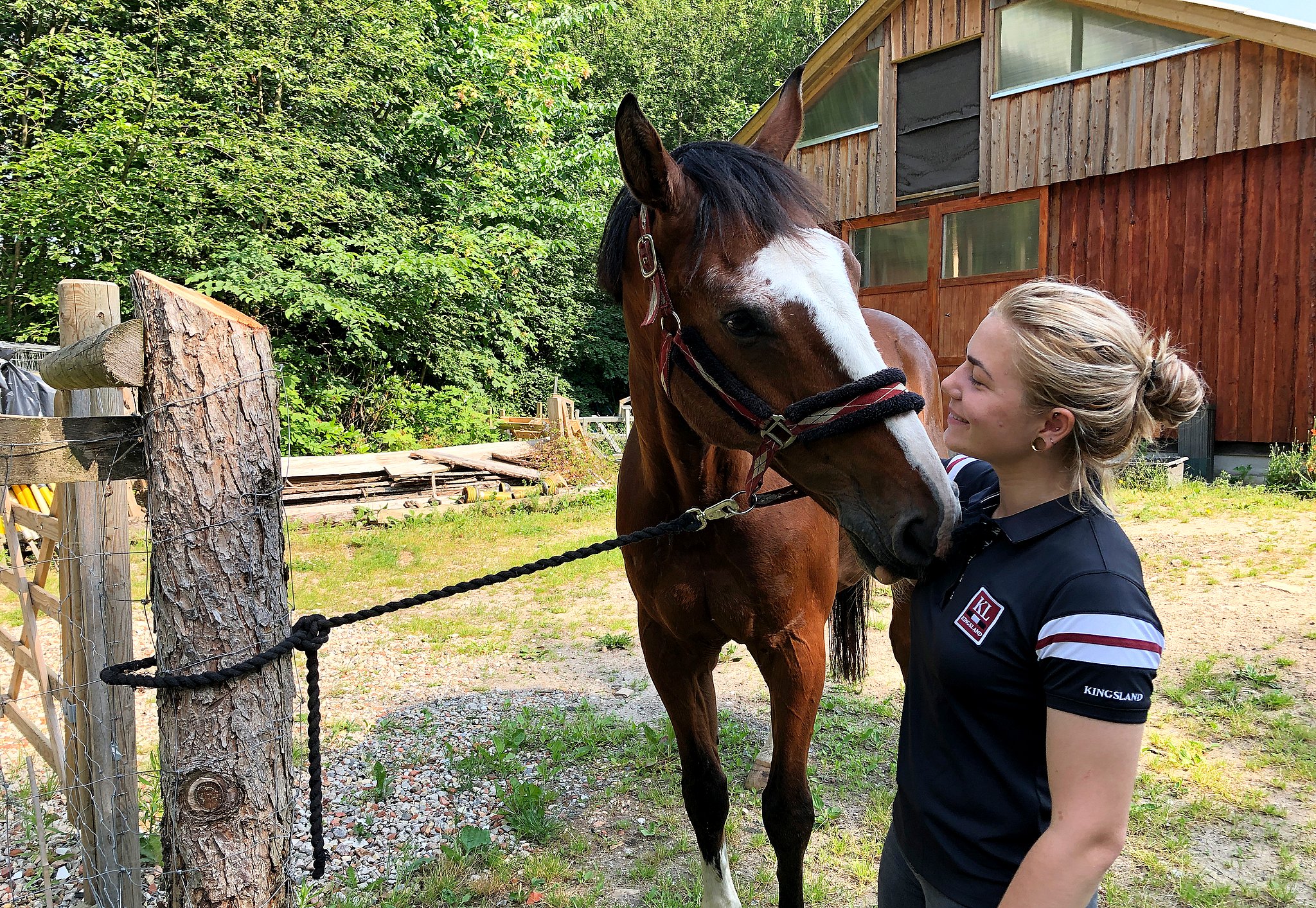 Løbsk hund angreb hest – nu råber rytteren | Østjylland