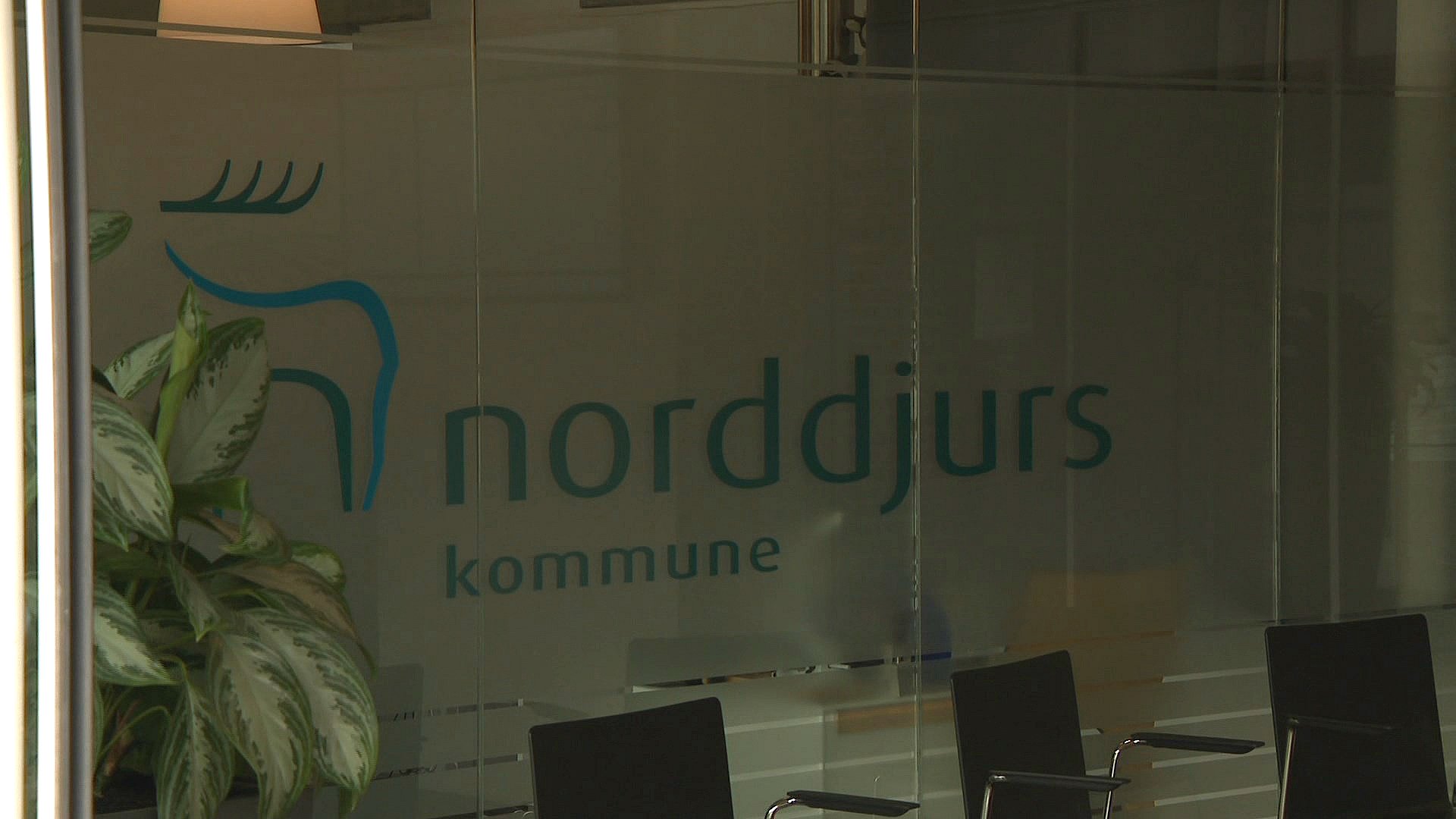 Specialist nærme sig aritmetik Norddjurs fyrer chefer for millioner | TV2 Østjylland