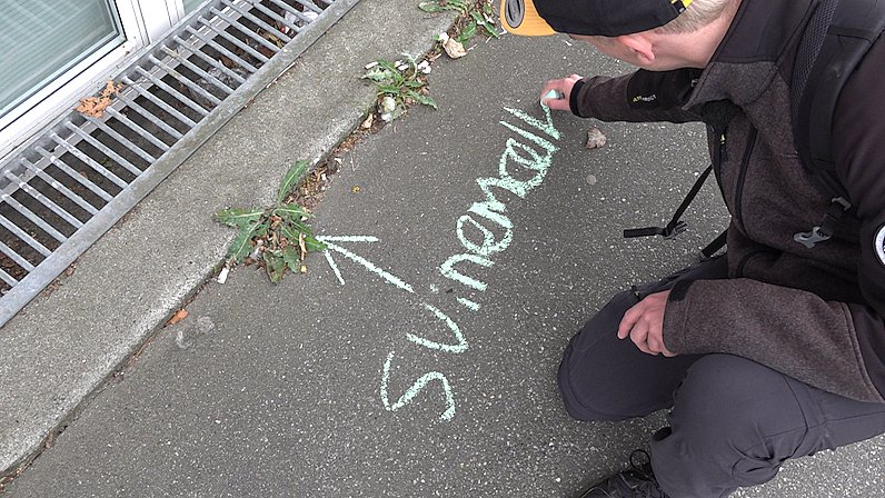 Kridtaktivisme på gaden: ukrudt kærlighed | TV2