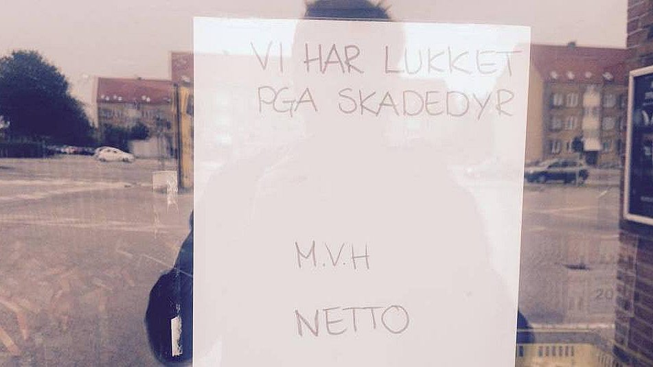 Netto i Aarhus lukket af skadedyr TV2 Østjylland