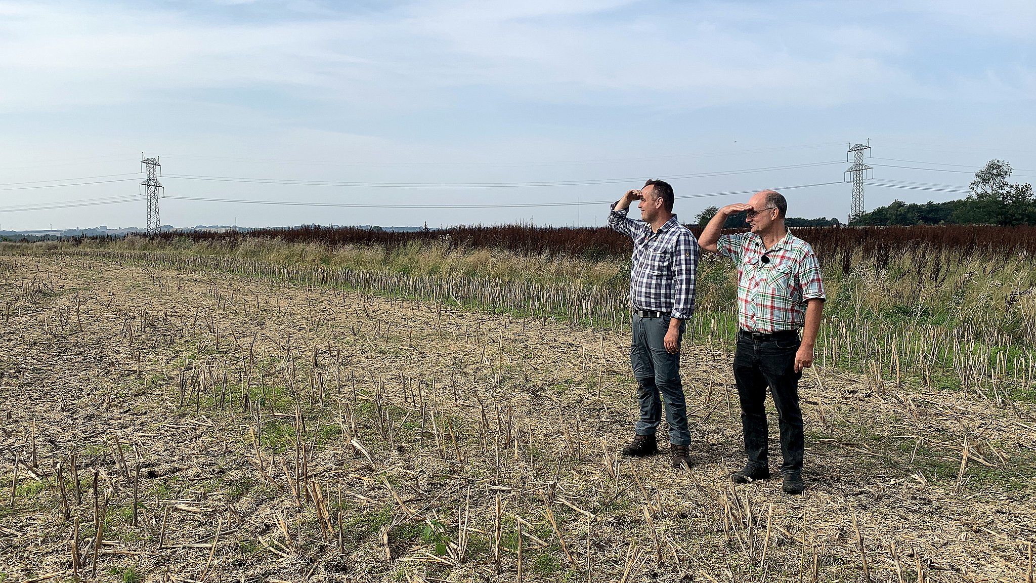 De Ser Frem Til En Fest Og En Ny Folkeskov Tv Stjylland