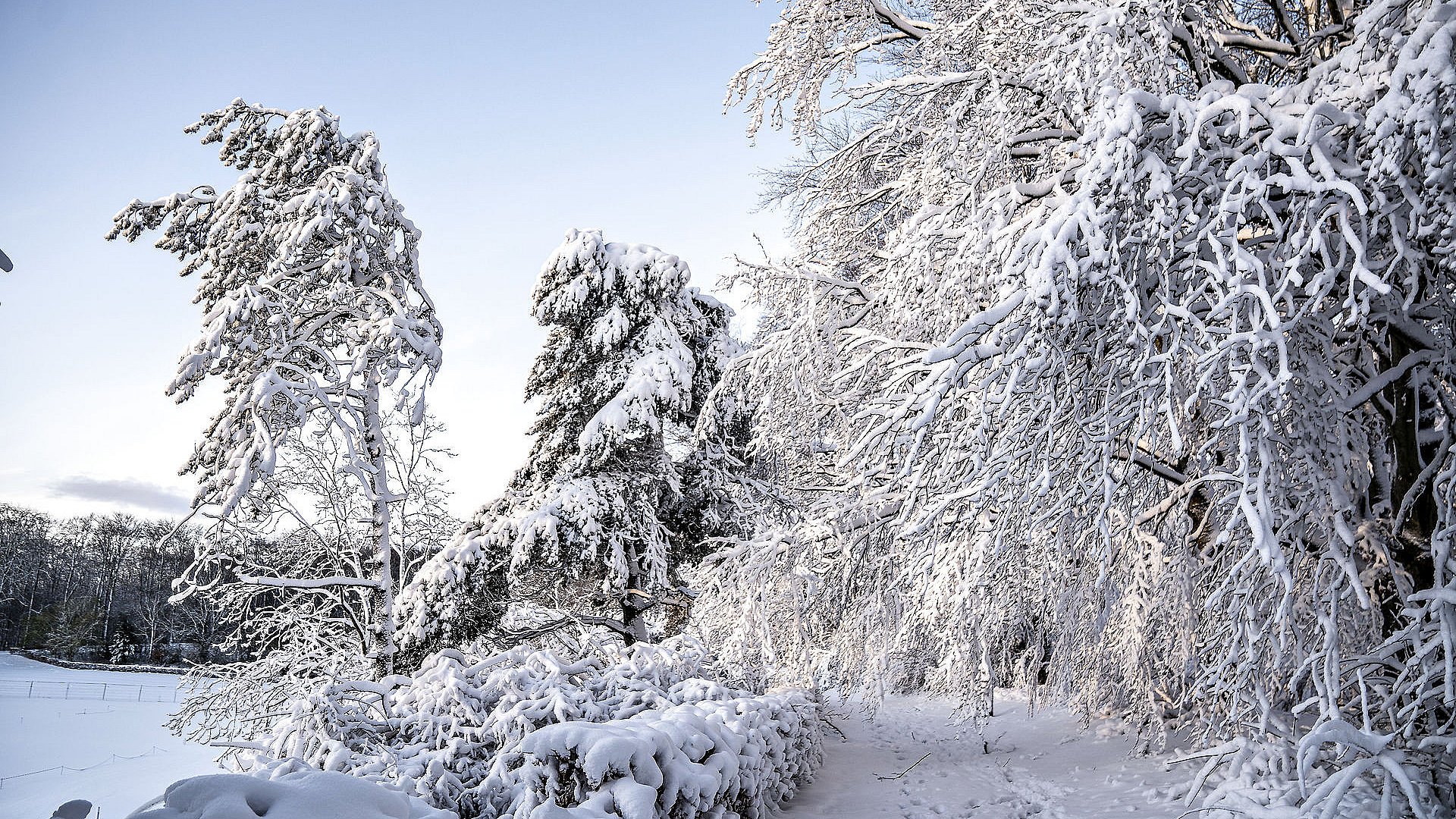 Sådan rammer større snevejr Danmark i dag | TV2 Østjylland