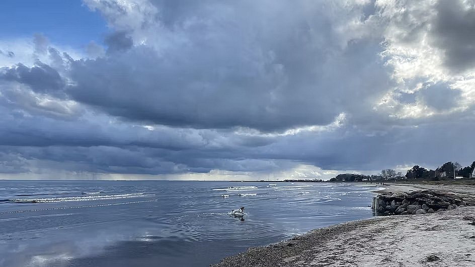 tonehøjde Uventet alien 20 grader et sted i landet - men koldest her | TV2 Østjylland