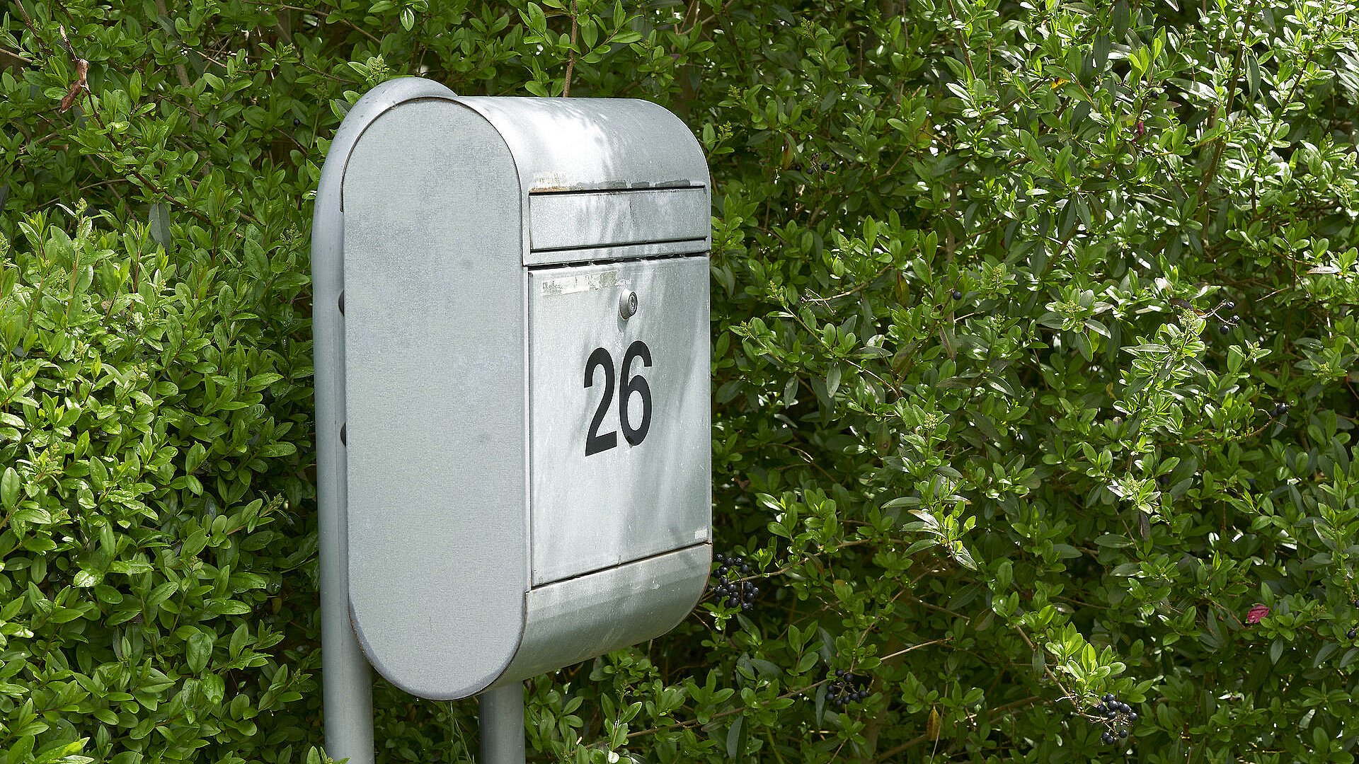 identifikation indlysende seksuel Sådan undgår du en sprængt postkasse | TV2 Østjylland
