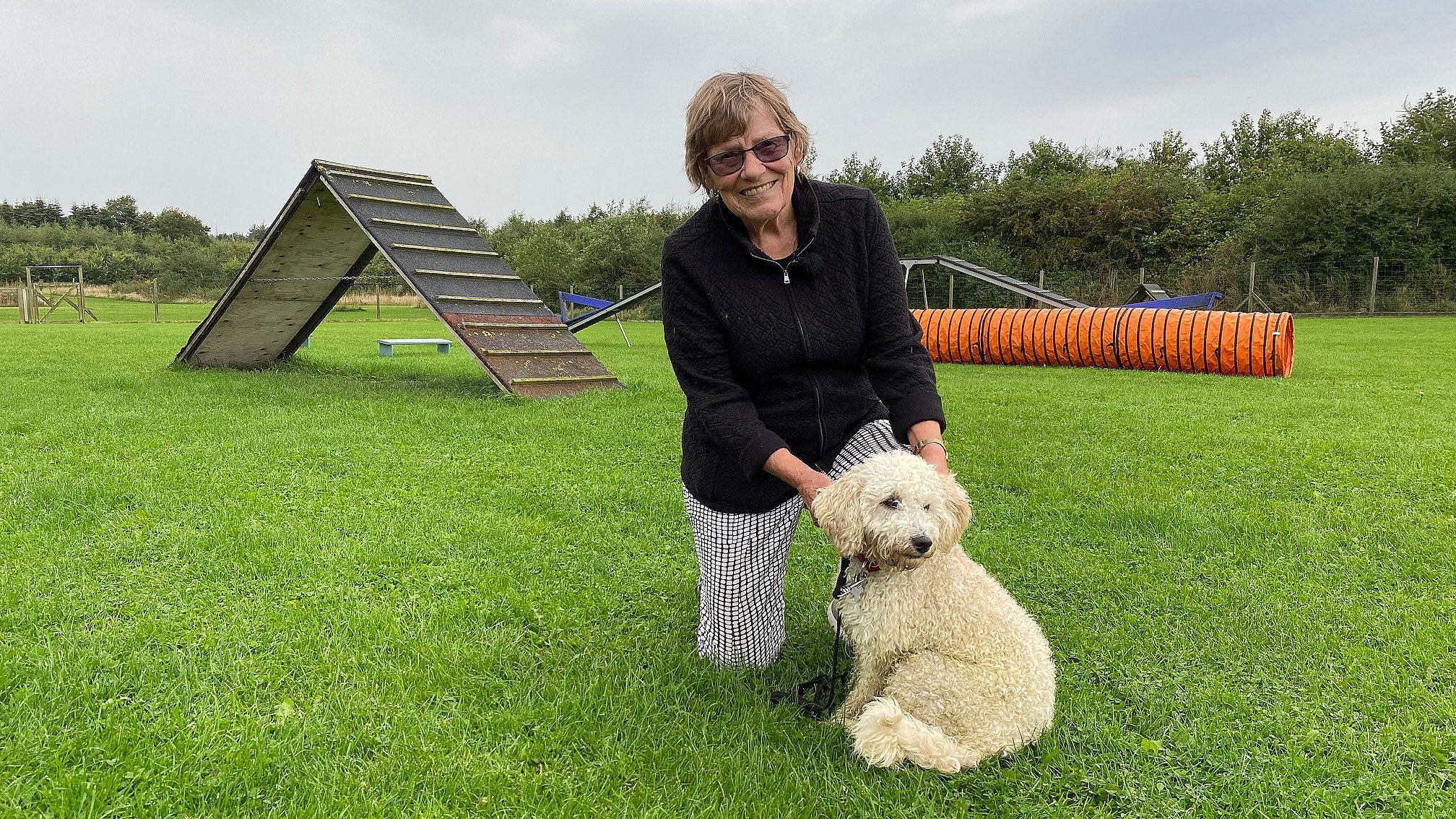 Seraph sammensværgelse matematiker Træningsbane for hunde skal rives ned - der skal være mere plads til  naturen | TV2 Østjylland