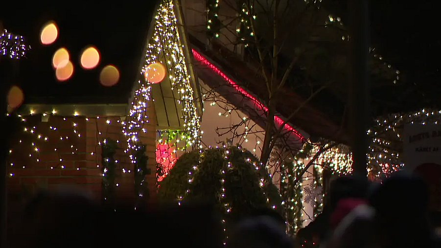 Festival hver for sig Gepard Ikoniske julelys droppes på stribe | TV2 Østjylland